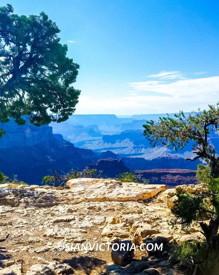 Grand Canyon: First-Timer's Guide to Visiting the National Park